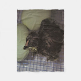 Cobertor De Velo Minutos velhos