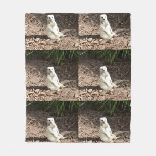 Cobertor De Velo Modelo na Natureza: White Meerkat Posing for Camer