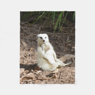 Cobertor De Velo Modelo na Natureza: White Meerkat Posing for Camer