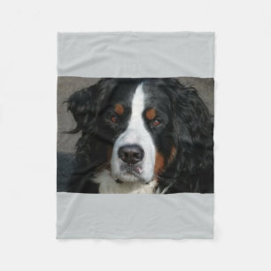 Cobertor De Velo montanha bernese dog.png