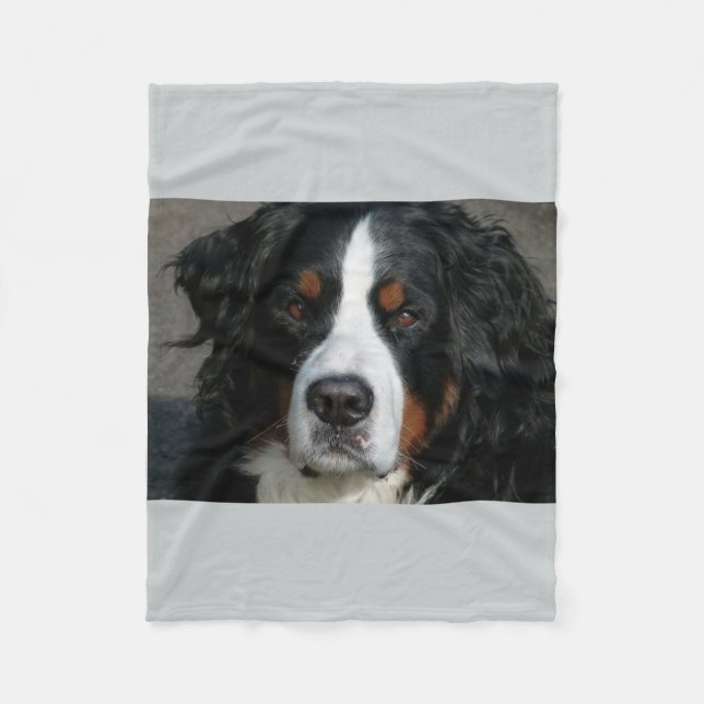 Cobertor De Velo montanha bernese dog.png (Frente)