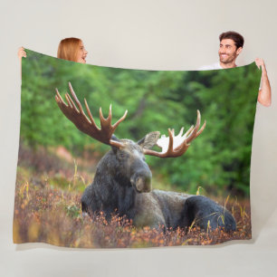 Cobertor De Velo Moose