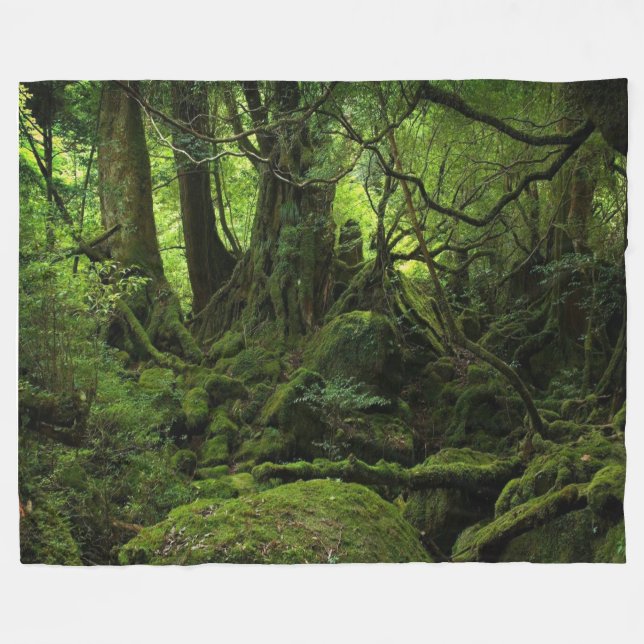 COBERTOR DE VELO MOSS HOLLOW (Frente (Horizontal))