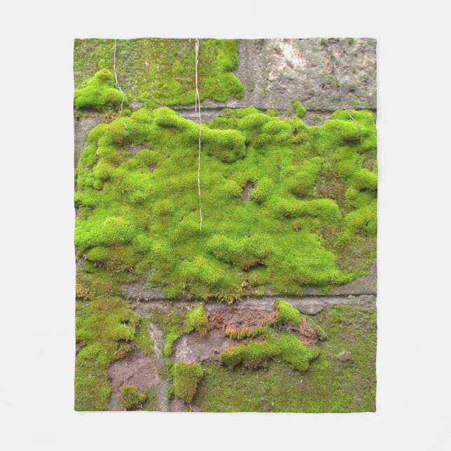 Cobertor De Velo Moss wall green rock texture (Frente)