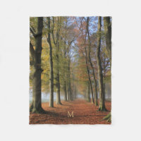 Natureza fotografia paisagística árvores de outono