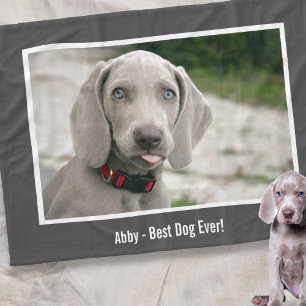 Cobertor De Velo Nome personalizado da foto do cão de Weimaraner e