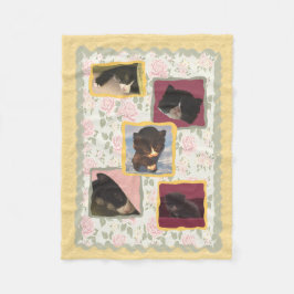 Cobertor De Velo O gato, gatos do gatinho dirige a casa doce