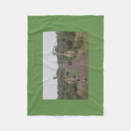 Cobertor De Velo O girafa junta bonito personaliza destinos do