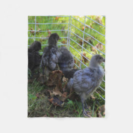 Cobertor De Velo O que está acima - bumbum da galinha