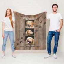 Olhar de madeira rústico memorável do cão feito