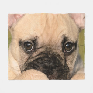 Cobertor De Velo Olhos do filhote de cachorro bonito do buldogue
