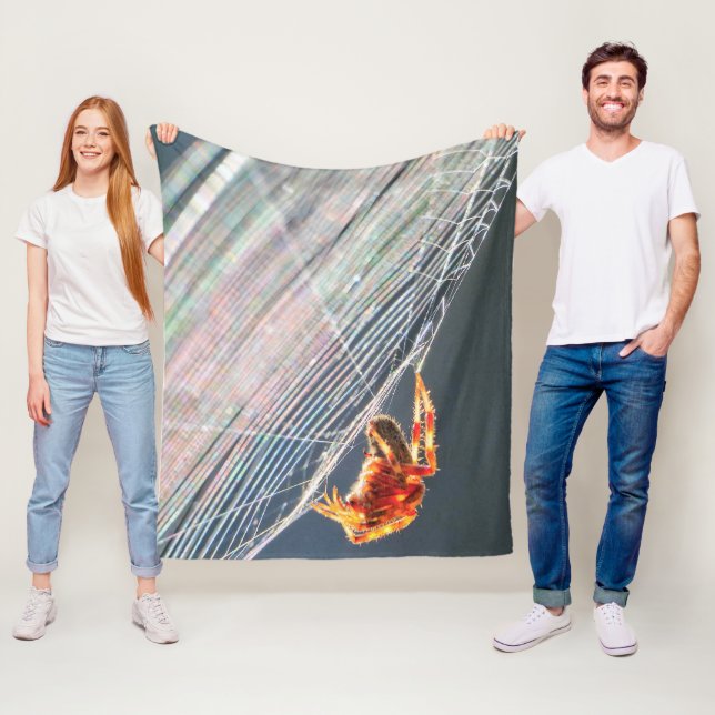 Cobertor De Velo Orb Spider on Web  (In Situ)