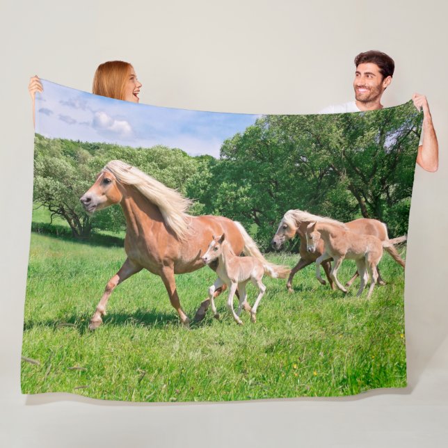 Cobertor De Velo Os cavalos de Haflinger com potros bonitos (In Situ)