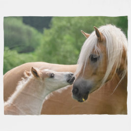 Cobertor De Velo Os cavalos de Haflinger Foal e égua que afaga,