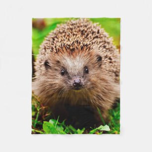 Cobertor De Velo Ouriço pequeno bonito na floresta