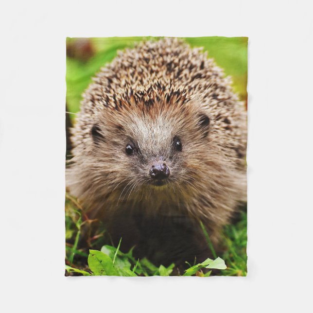 Cobertor De Velo Ouriço pequeno bonito na floresta (Frente)