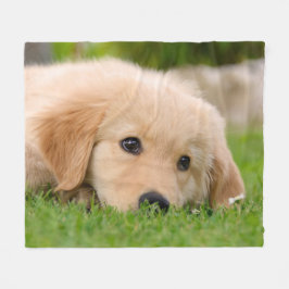 Cobertor De Velo Ouro Retriever Cute Puppy Sonhando, aconchegante
