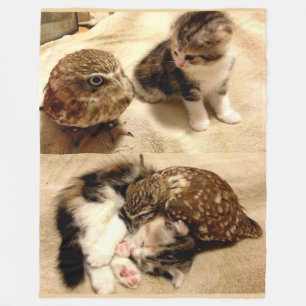 COBERTOR DE VELO OWLS SÃO APENAS GATOS COM ASAS