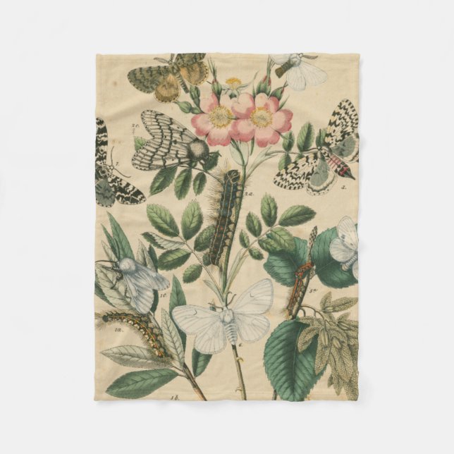 Cobertor De Velo Palcos da vida da borboleta pelo Vision Studio (Frente)