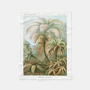 Cobertor De Velo Palm Tree Ernst Haeckel