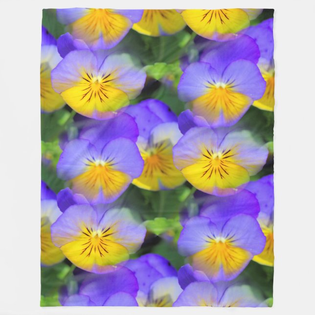 Cobertor De Velo Pansy echos (Frente)