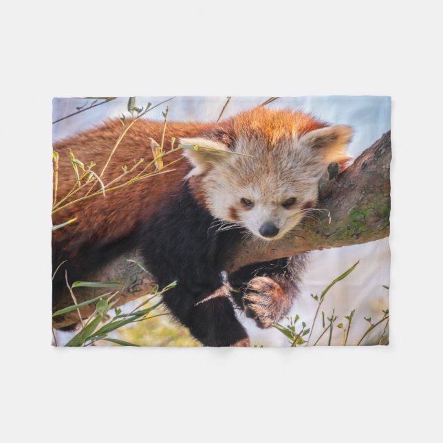 Cobertor De Velo Pantaninha vermelha preguiçosa (Frente (Horizontal))