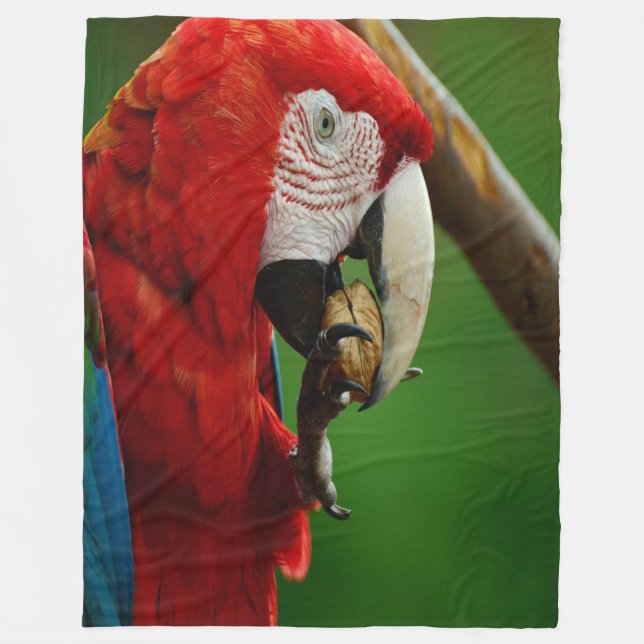 Cobertor De Velo Papagaio Vermelho Tropical (Frente)