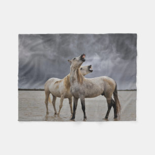 Cobertor De Velo Par de garanhões de cavalo Camargue, sul da França