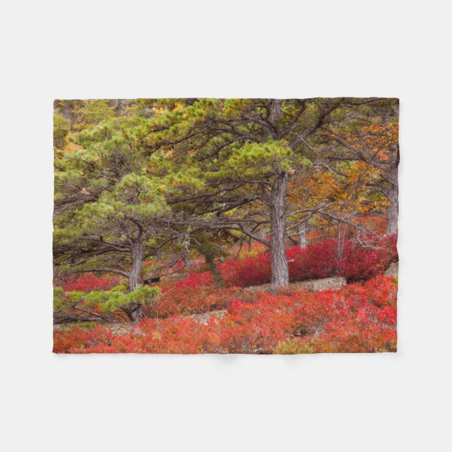 Cobertor De Velo Parque Nacional de Acadia, Maine (Frente (Horizontal))