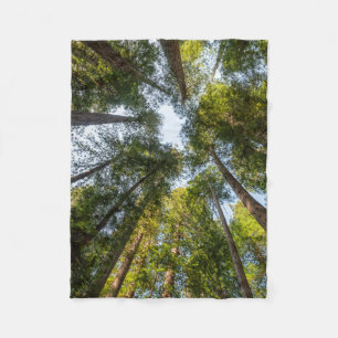 Cobertor De Velo Parques Nacionais e Estaduais de Redwood, Califórn
