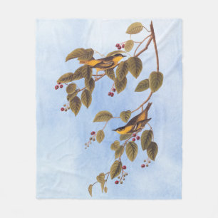 Cobertor De Velo Pássaro Audubon de Warbler Carbonado