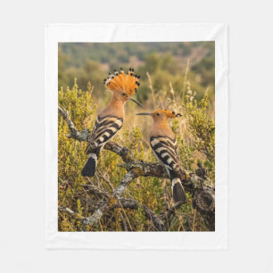 Cobertor De Velo Pássaros Poupaça Na Paisagem Da Natureza Fleece B