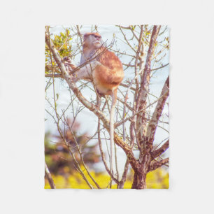 Cobertor De Velo Patas é uma árvore