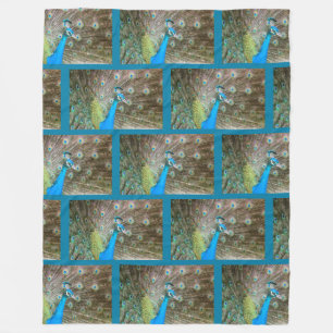 Cobertor De Velo Pavão com as penas ventiladas - foto do pássaro