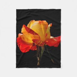 Cobertor De Velo Peachy Orange Rosa