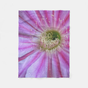 Cobertor De Velo Pedaço de flor de cacto liso