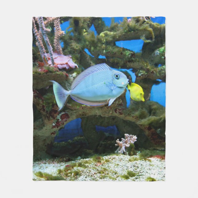 Cobertor De Velo Peixes do azul do mar (Frente)