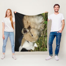 Pequenos coelhos fofos bonitos