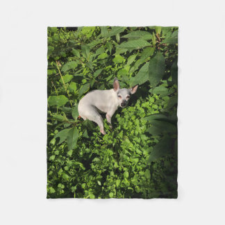 Cobertor De Velo pérola de ninfas do jardim