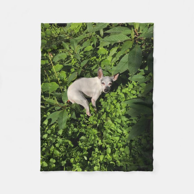 Cobertor De Velo pérola de ninfas do jardim (Frente)