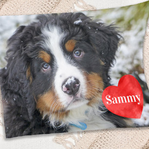 Cobertor De Velo Pet Foto Personalizada de Cachorro Moderno