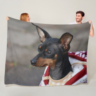 Cobertor De Velo Pinscher diminuto