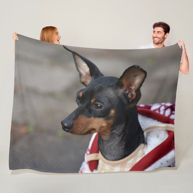 Cobertor De Velo Pinscher diminuto (In Situ)