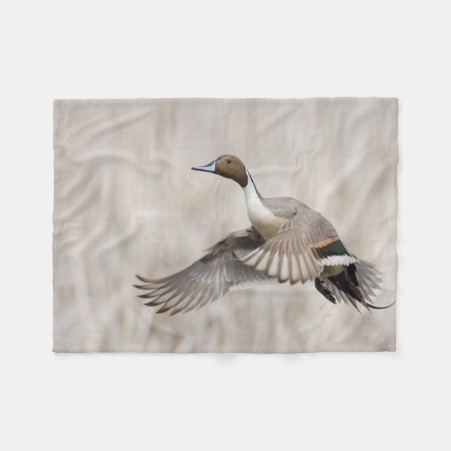 Cobertor De Velo Pintail Drake em Voo (Frente (Horizontal))