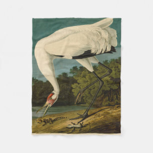 Cobertor De Velo Pintura de pássaros Audubon Crane Whoping
