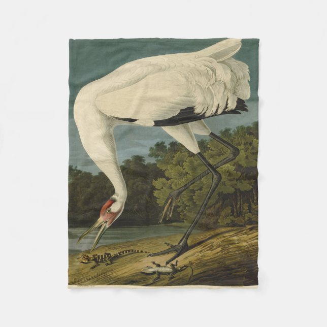 Cobertor De Velo Pintura de pássaros Audubon Crane Whoping (Frente)