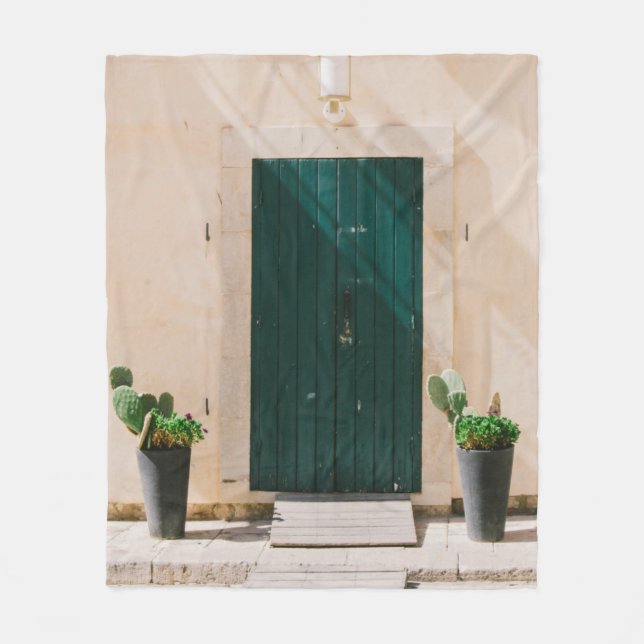 COBERTOR DE VELO PLANTA DE CACTÃO VERDE PERTO DA PORTA VERDE (Frente)