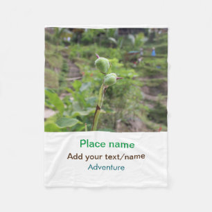 Cobertor De Velo Plantas naturais fotografia água de praia viagem