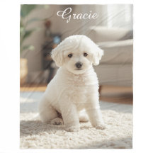 Poodle bonito Personalizado