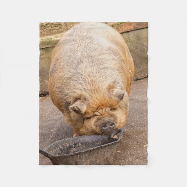 Cobertor De Velo Porco gordo (Frente)